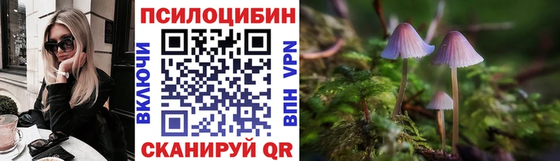 Псилоцибиновые грибы прущие грибы  Костомукша 